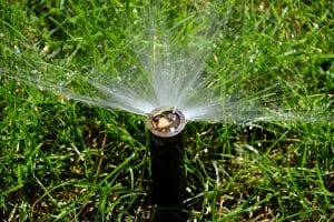 Landscape Lighting Ideas and Tips for Improved Curb Appeal