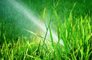 Find a Leak in a Sprinkler System