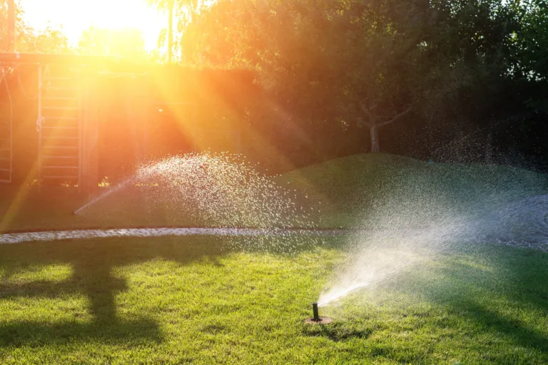 Should I Get a Sprinkler System?