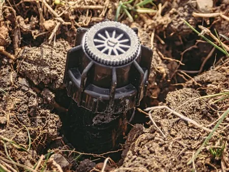 a sprinkler head in the ground